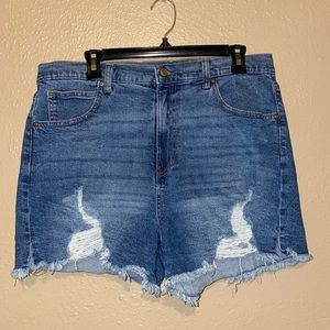 Celebrity Pink Distressed Denim Shorts, Medium Wash, size 15